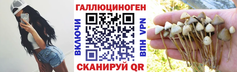 Псилоцибиновые грибы прущие грибы  Заречный 